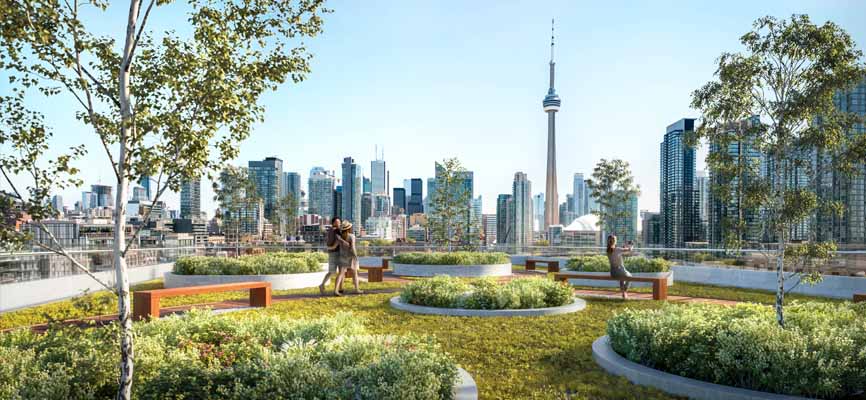 Niagara West rooftop view of CN Tower and Toronto Skyline