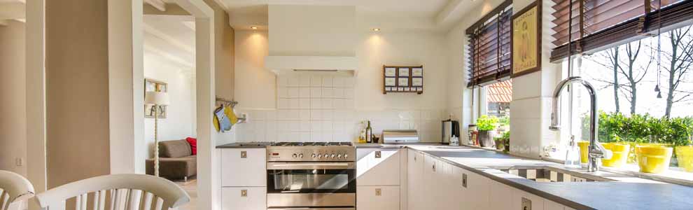 white kitchen with plants and big bright windows