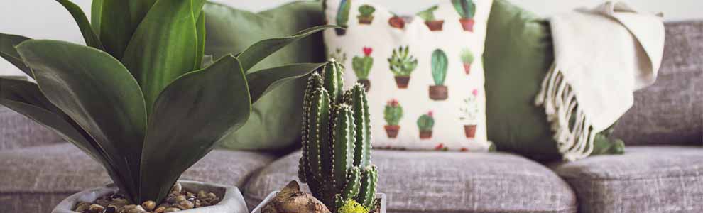 living room with green pillows and plants on the coffee table
