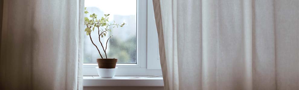 Plant in window with partly opened curtains