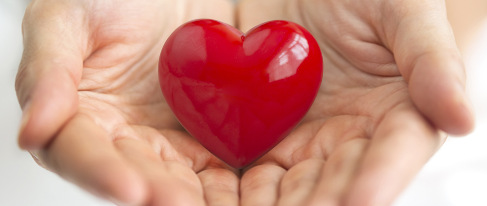 person holding red, fake heart in hands