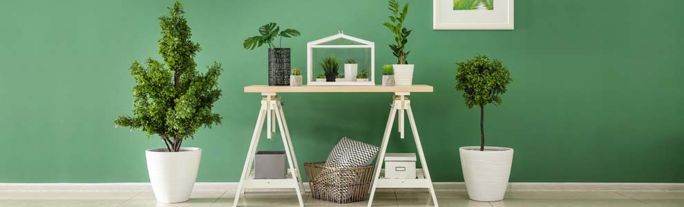green room in house with table and many indoor plants