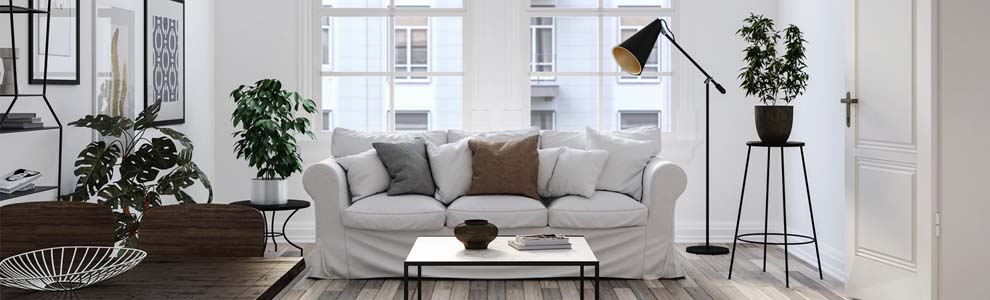 nice living room with big windows and plants