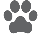 Pet friendly